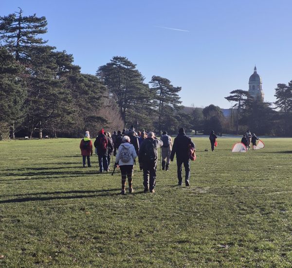 Ramblers walking across grass, framed by tree